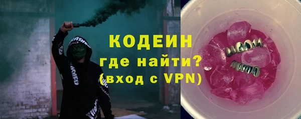 прущие грибы Сосновый Бор