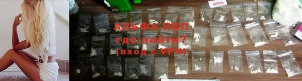 прущие крисы Новокубанск