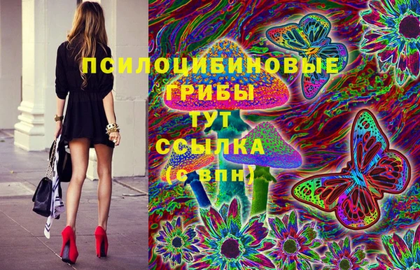 трава Новодвинск