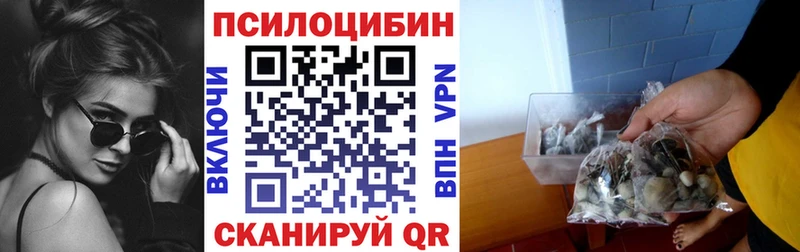 купить наркотики цена Новодвинск Галлюциногенные грибы Cubensis
