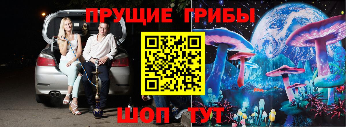 Новодвинск  Псилоцибиновые грибы MAGIC MUSHROOMS  купить наркотики цена  Вход с VPN 